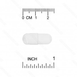 Креатин, Sierra Fit, 750 мг, 240 капсул