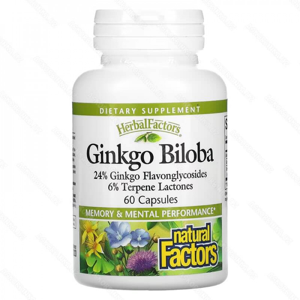 Ginkgo Biloba, Natural Factors, гинкго билоба, 60 капсул